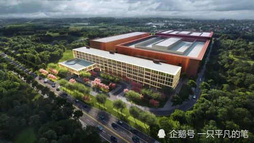 驅動芯片再獲突破,華為正全力填補芯片空白,多家企業(yè)已妥協(xié)供貨