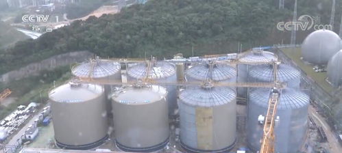 踐行低碳環(huán)保發(fā)展理念 綠色發(fā)展助力中國經濟轉型升級