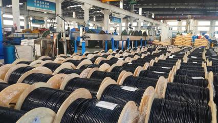 上海浦東電纜集團(tuán)全球化5G裝備專用電線電纜項(xiàng)目投產(chǎn)